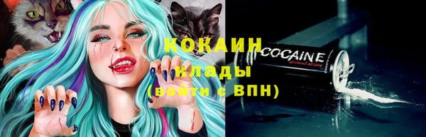 амф Надым
