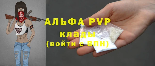 амф Надым