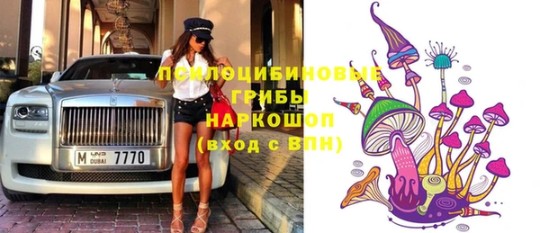 гашик Великий Новгород